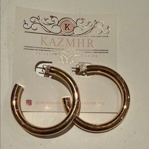 Elegant Gold Hoop Earrings